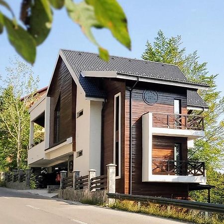 Casa Larisa Antonia Apartments Sinaia Buitenkant foto