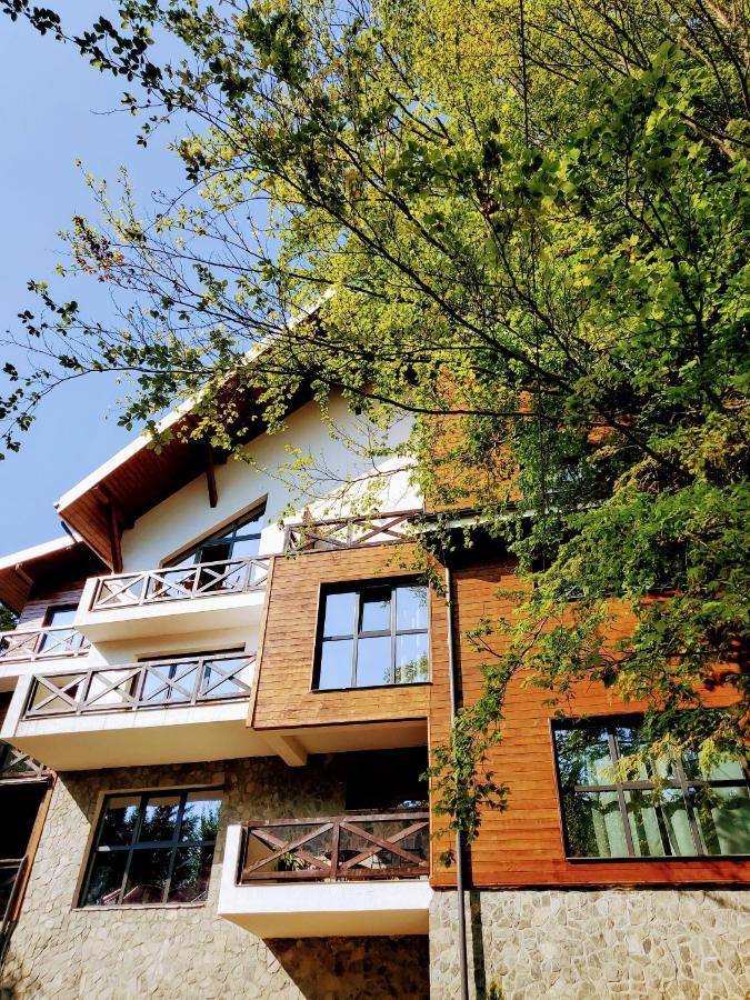 Casa Larisa Antonia Apartments Sinaia Buitenkant foto