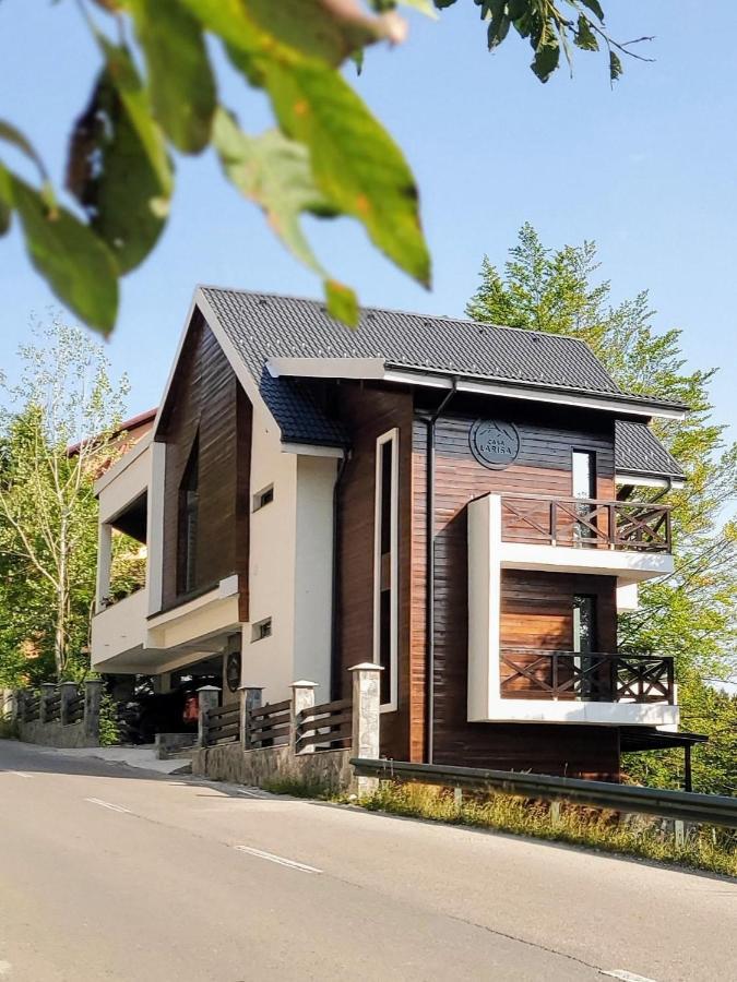 Casa Larisa Antonia Apartments Sinaia Buitenkant foto