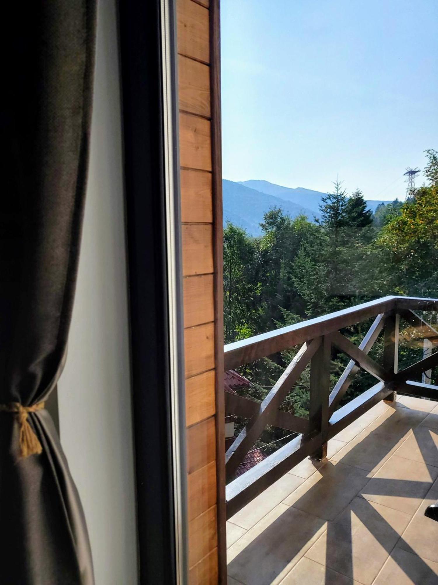 Casa Larisa Antonia Apartments Sinaia Buitenkant foto
