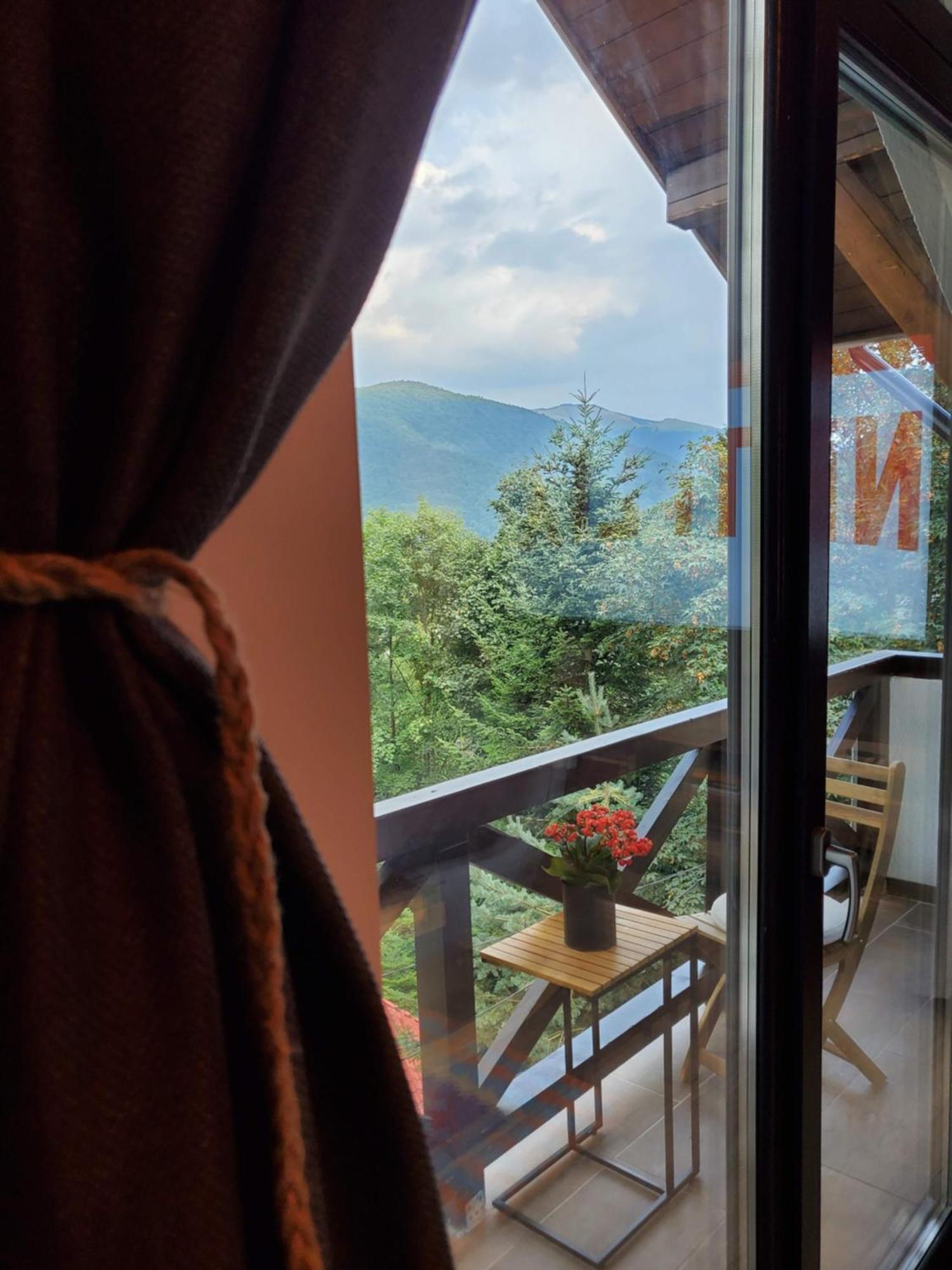 Casa Larisa Antonia Apartments Sinaia Buitenkant foto